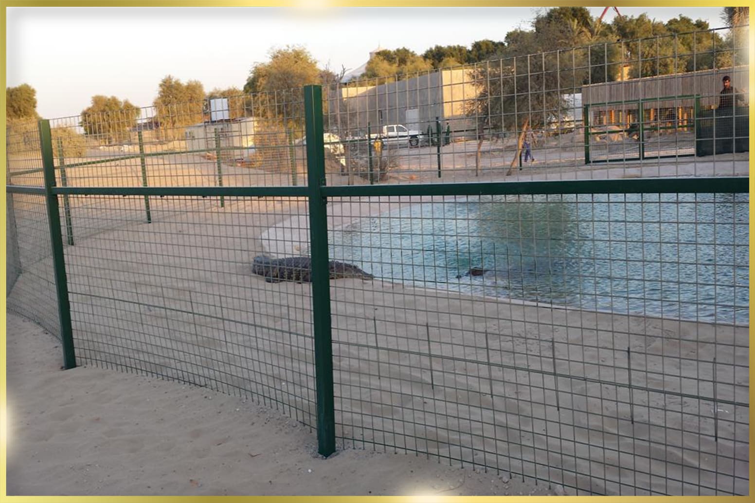 Stainless Steel Animal Cages in UAE