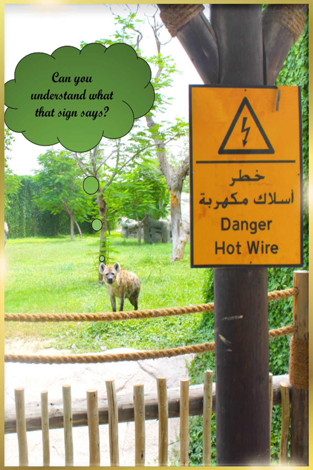 Hotwire System for Zoos