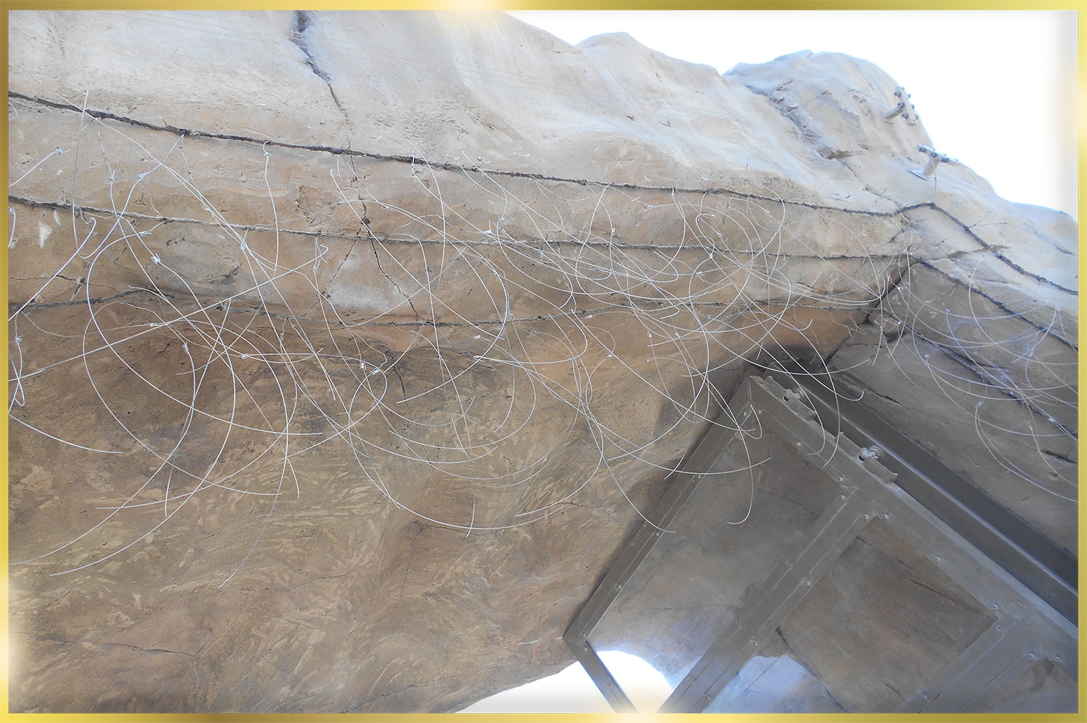 Hotwire System for Zoos