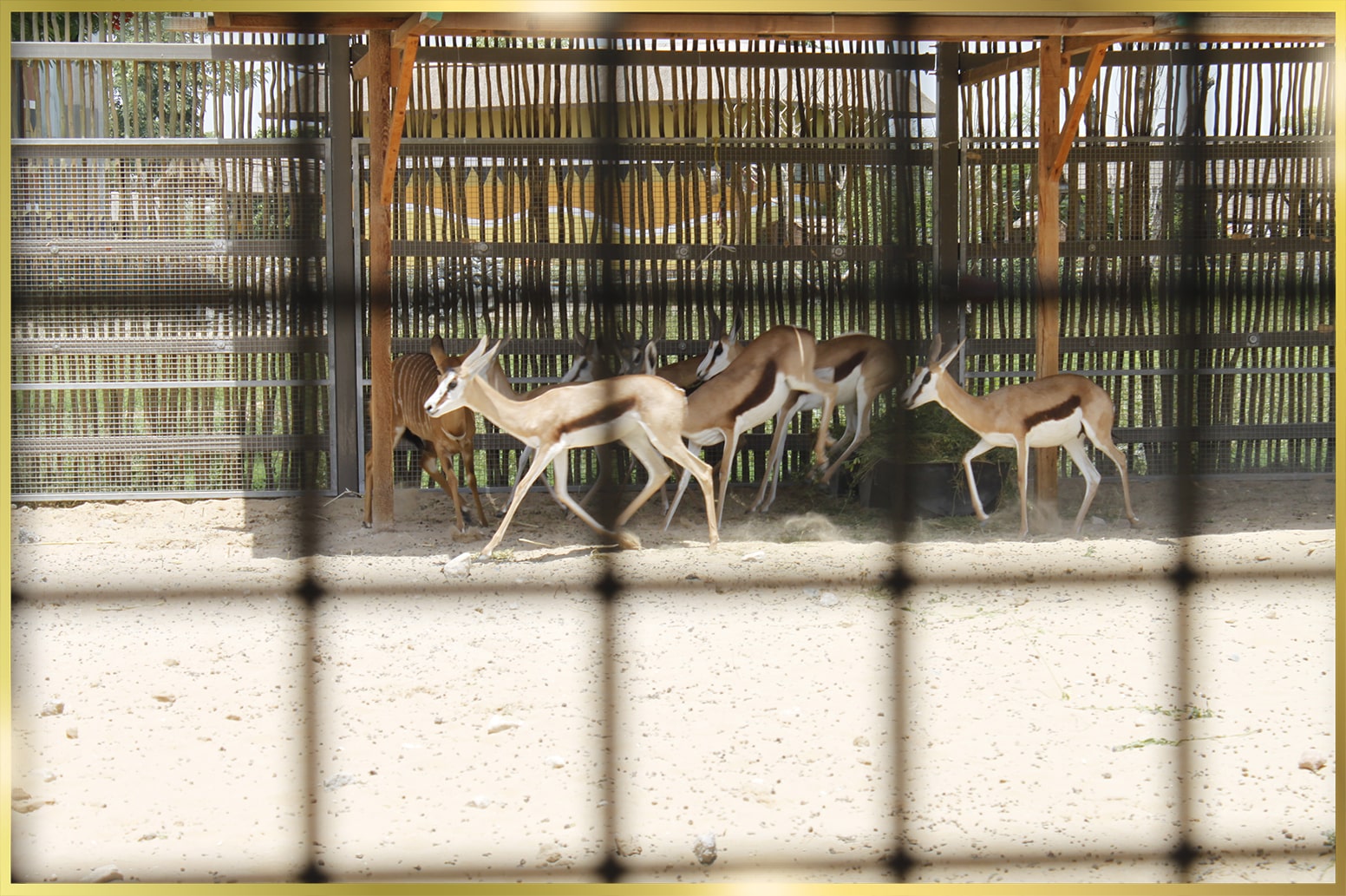 Stainless Steel Fencing Fabricator in Dubai