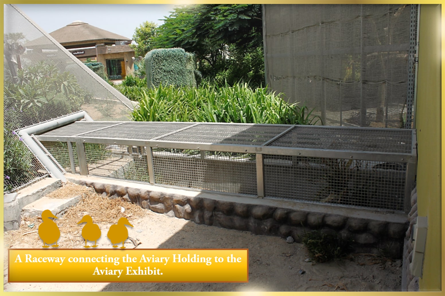 Stainless Steel Fencing Fabricator in Dubai