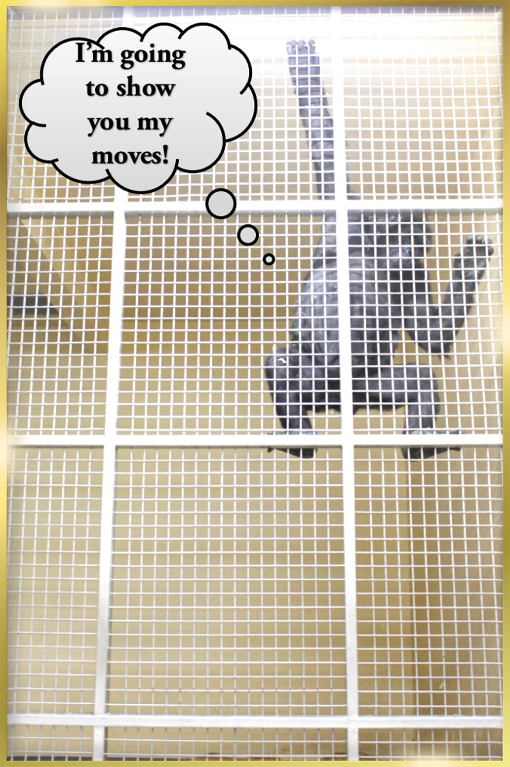 Stainless Steel Mesh manufacturers in UAE