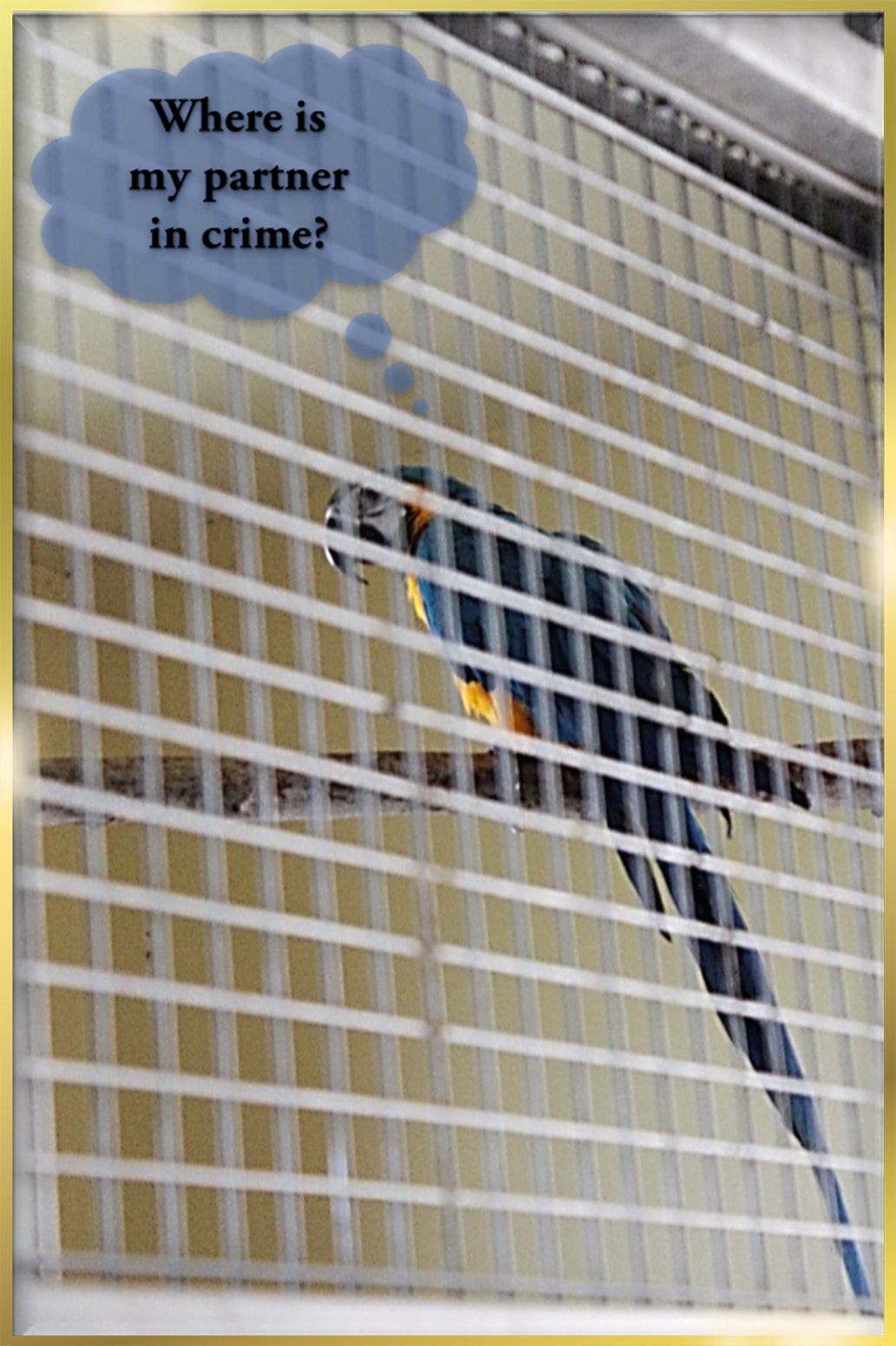 Stainless Steel Mesh manufacturers in UAE