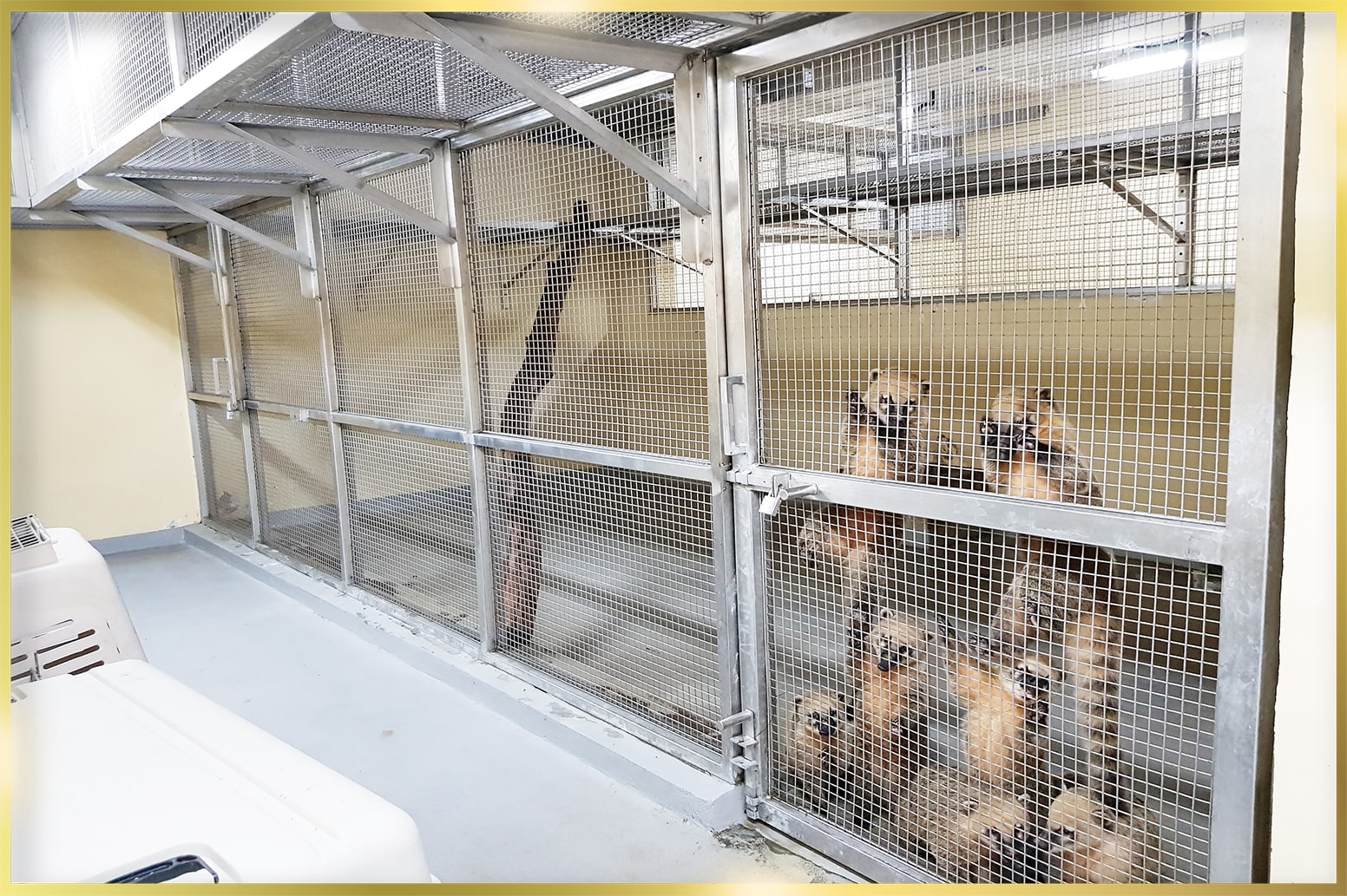Stainless Steel Mesh manufacturers in UAE