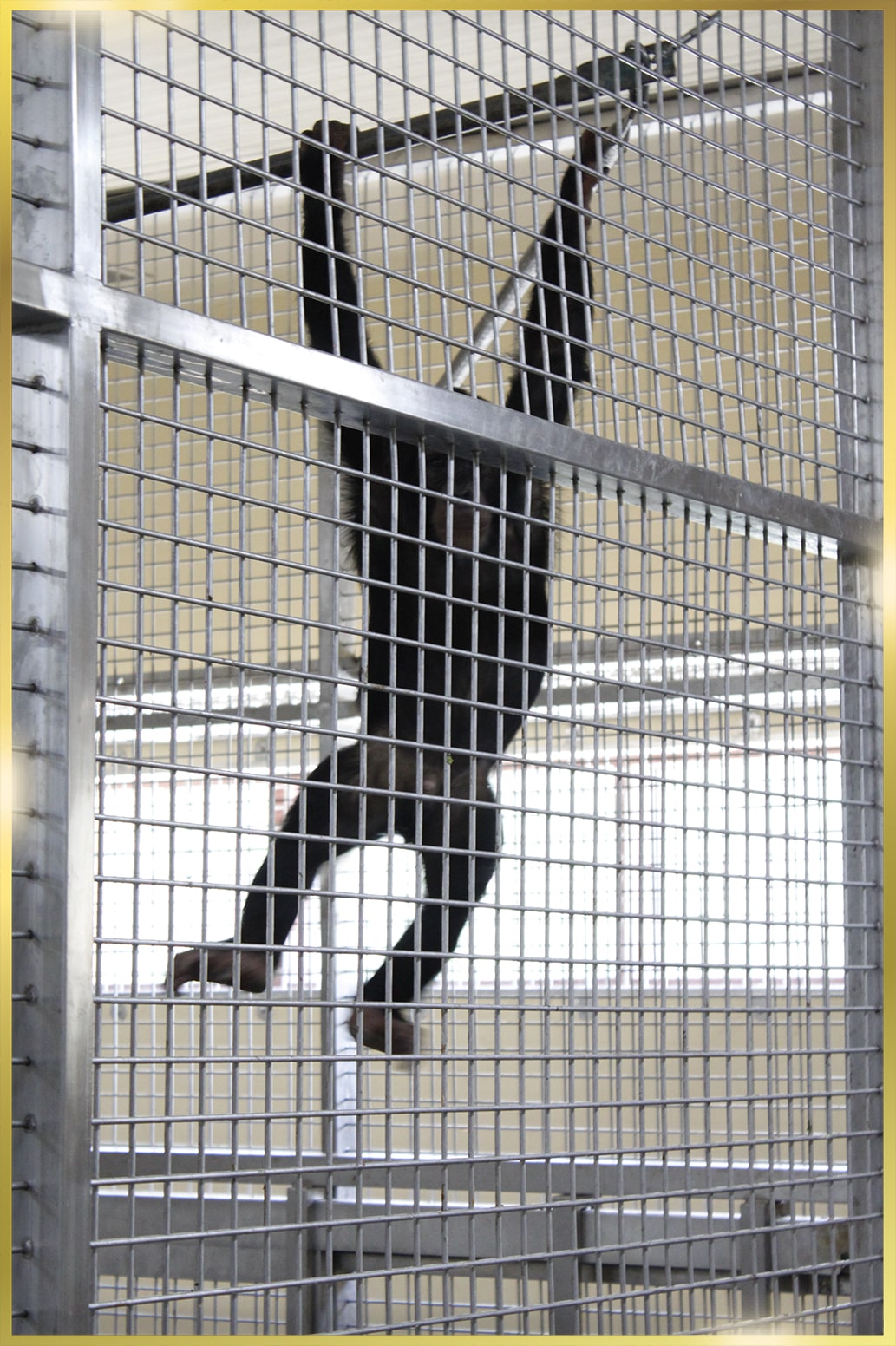 Stainless Steel Mesh manufacturers in UAE