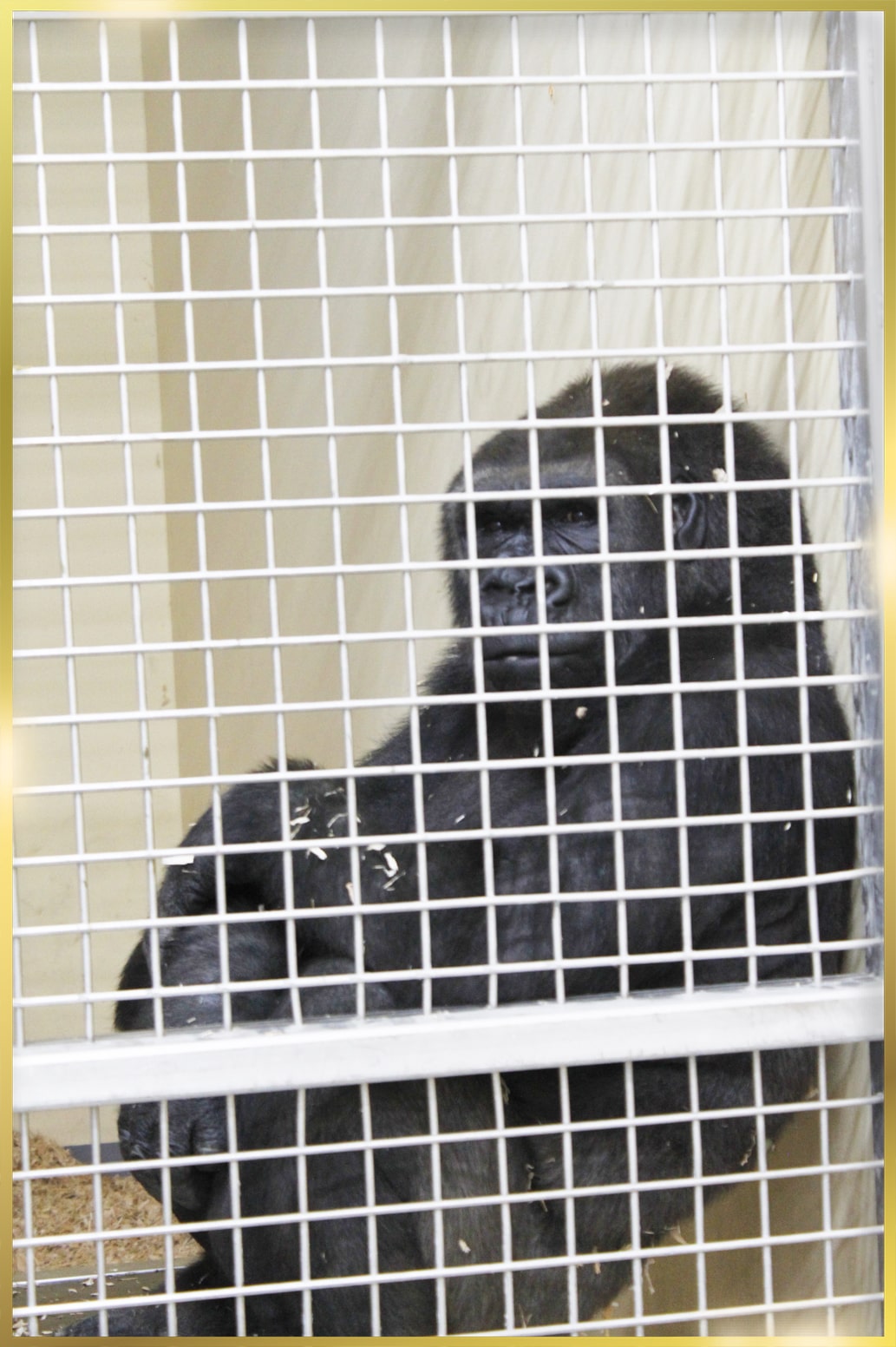 Stainless Steel Mesh manufacturers in UAE