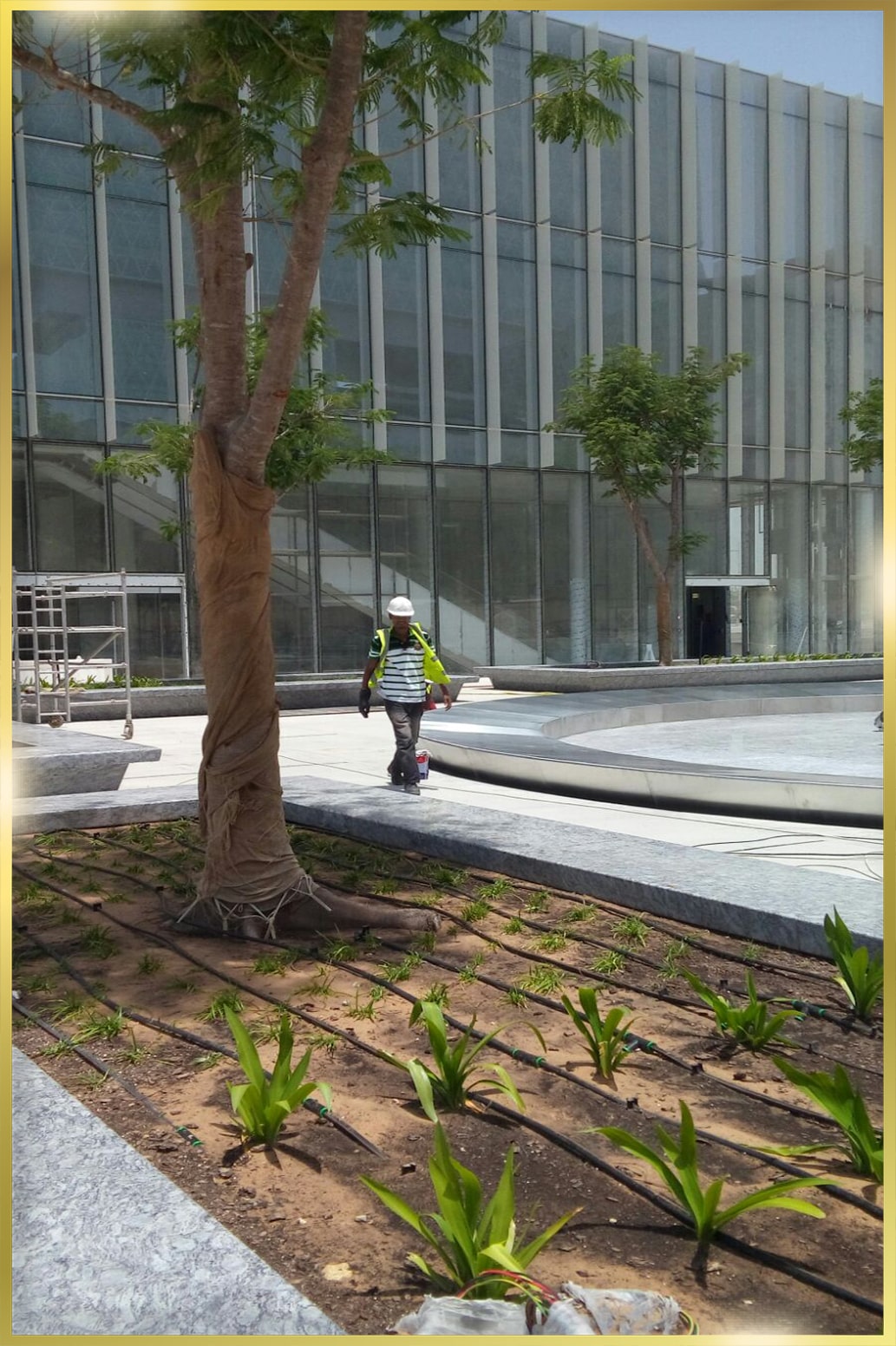 Stainless Steel Landscape Design in Al Hilal Bank