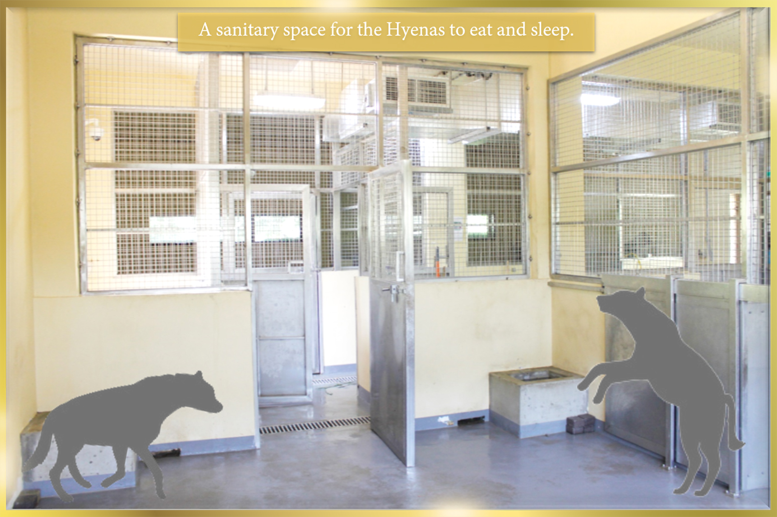 Stainless Steel Animal Mechanical Doors Manufacturer