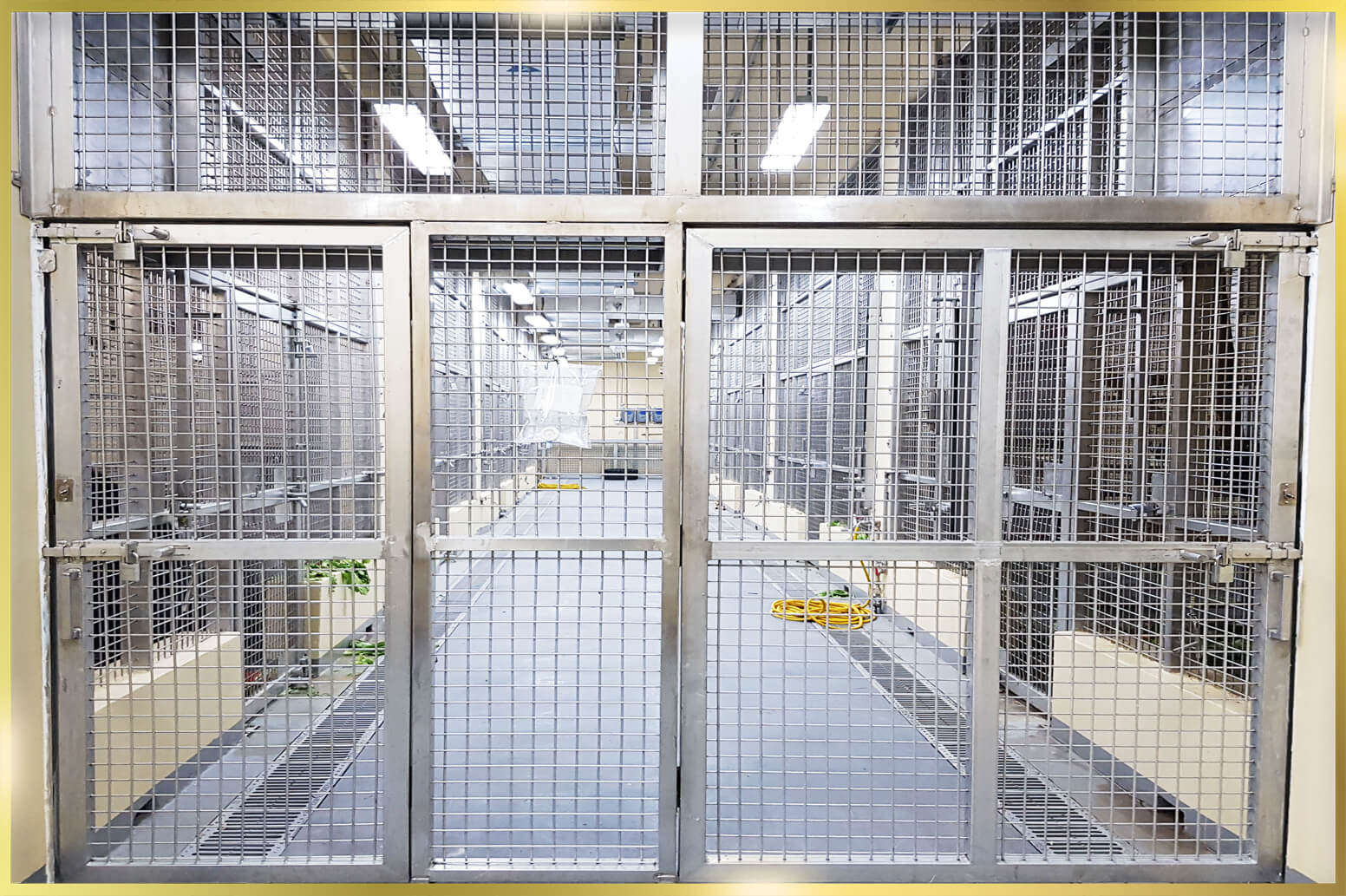 Stainless Steel Mesh for Cages