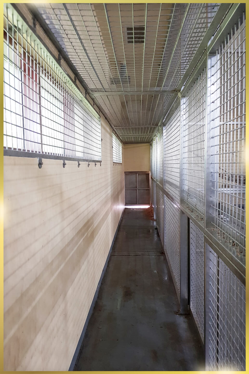 Stainless Steel Mesh for Cages