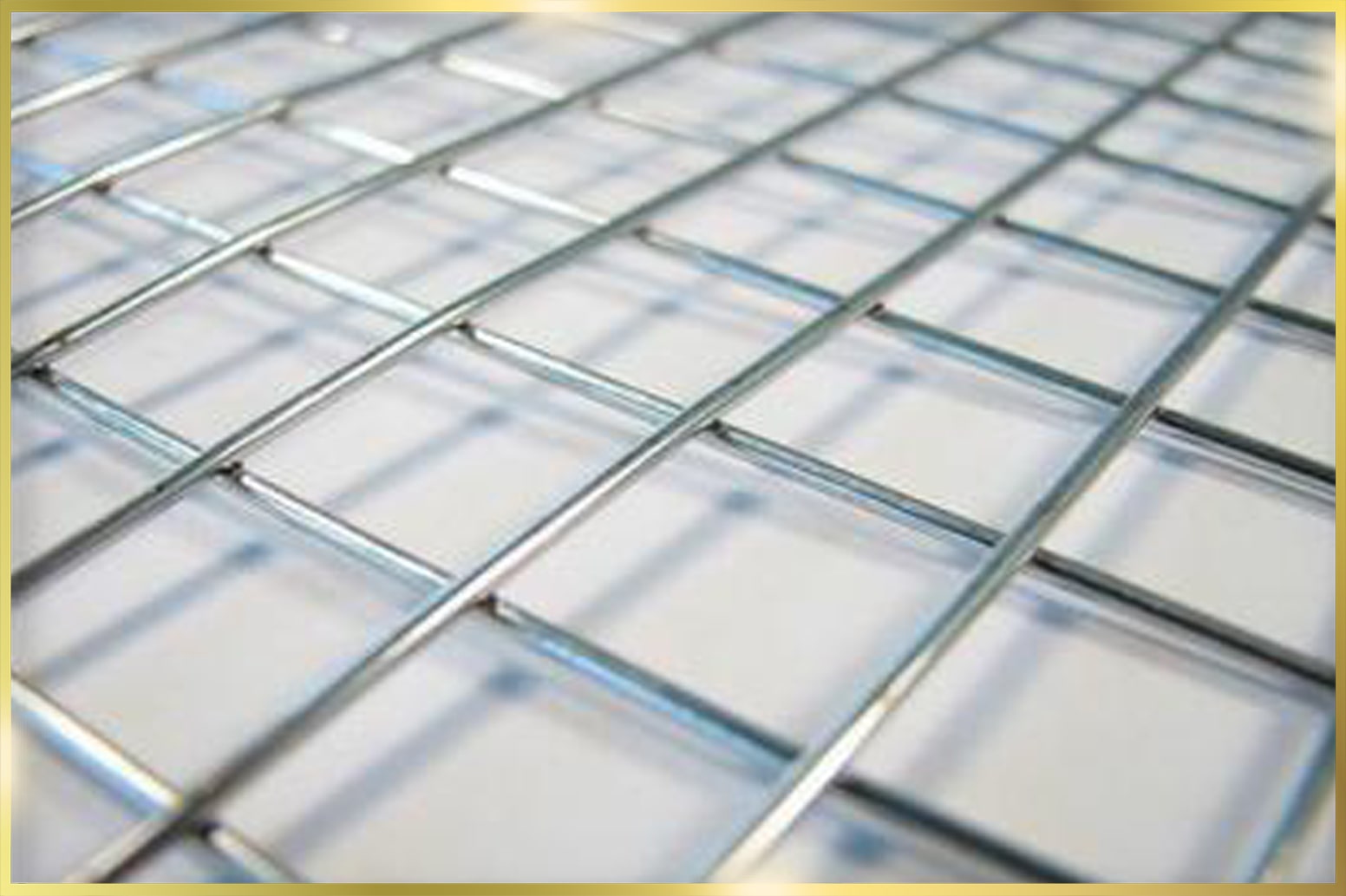 Stainless Steel Mesh for Fences