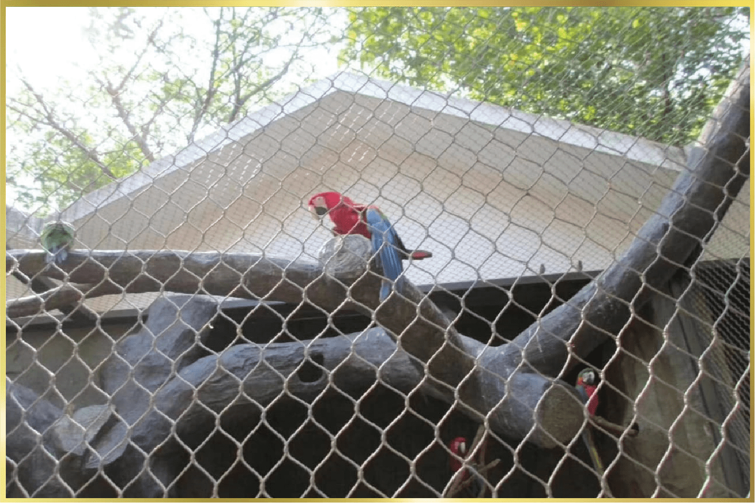 Wire Mesh for Cages