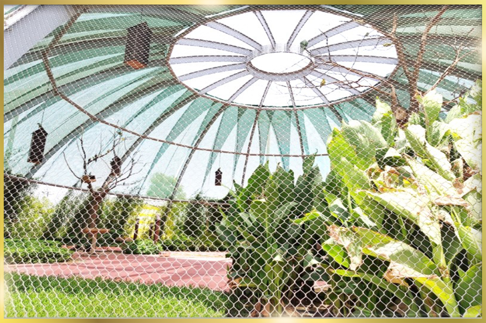 Wire Mesh for Fences