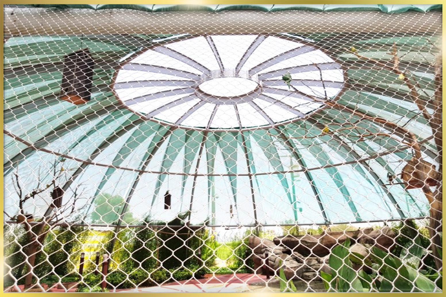 Wire Mesh for Fences